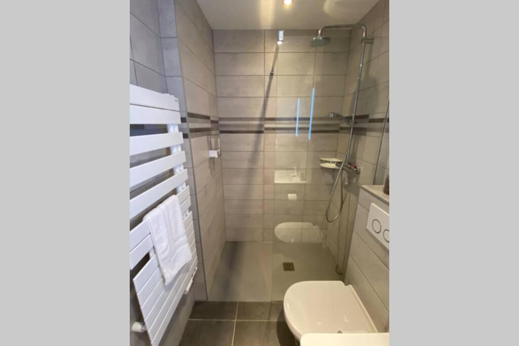 Le Continental Beau T2 Plein Centre + Parking Apartment อานซี ภายนอก รูปภาพ