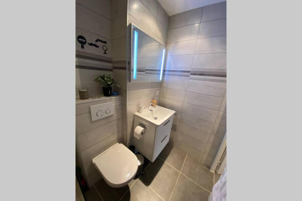 Le Continental Beau T2 Plein Centre + Parking Apartment อานซี ภายนอก รูปภาพ